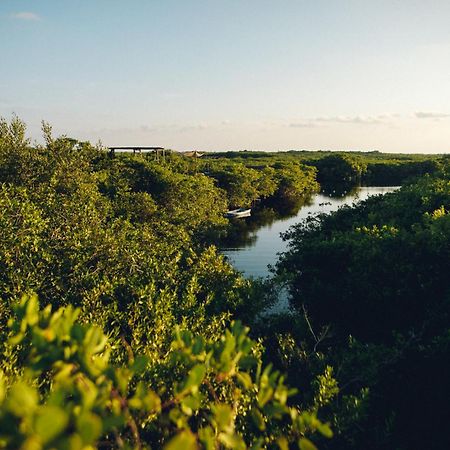 Uman Glamping & Cenote Tulum Hotel Exterior photo