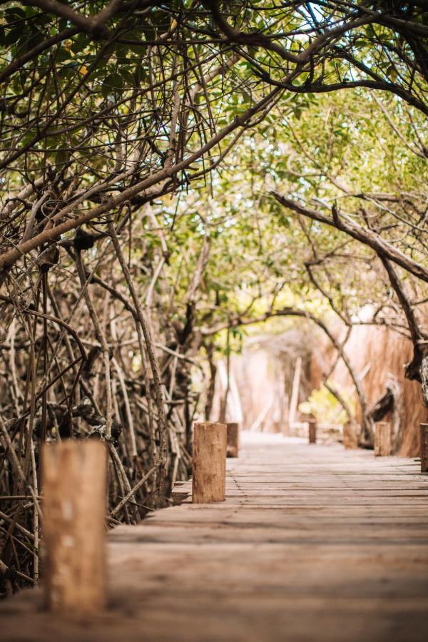 Uman Glamping & Cenote Tulum Hotel Exterior photo