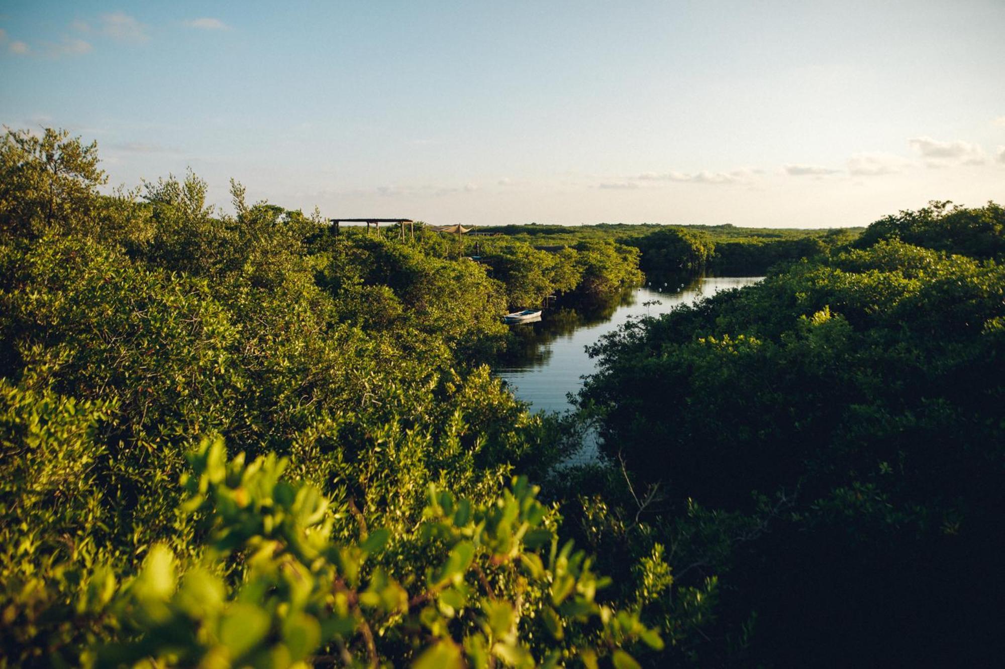 Uman Glamping & Cenote Tulum Hotel Exterior photo